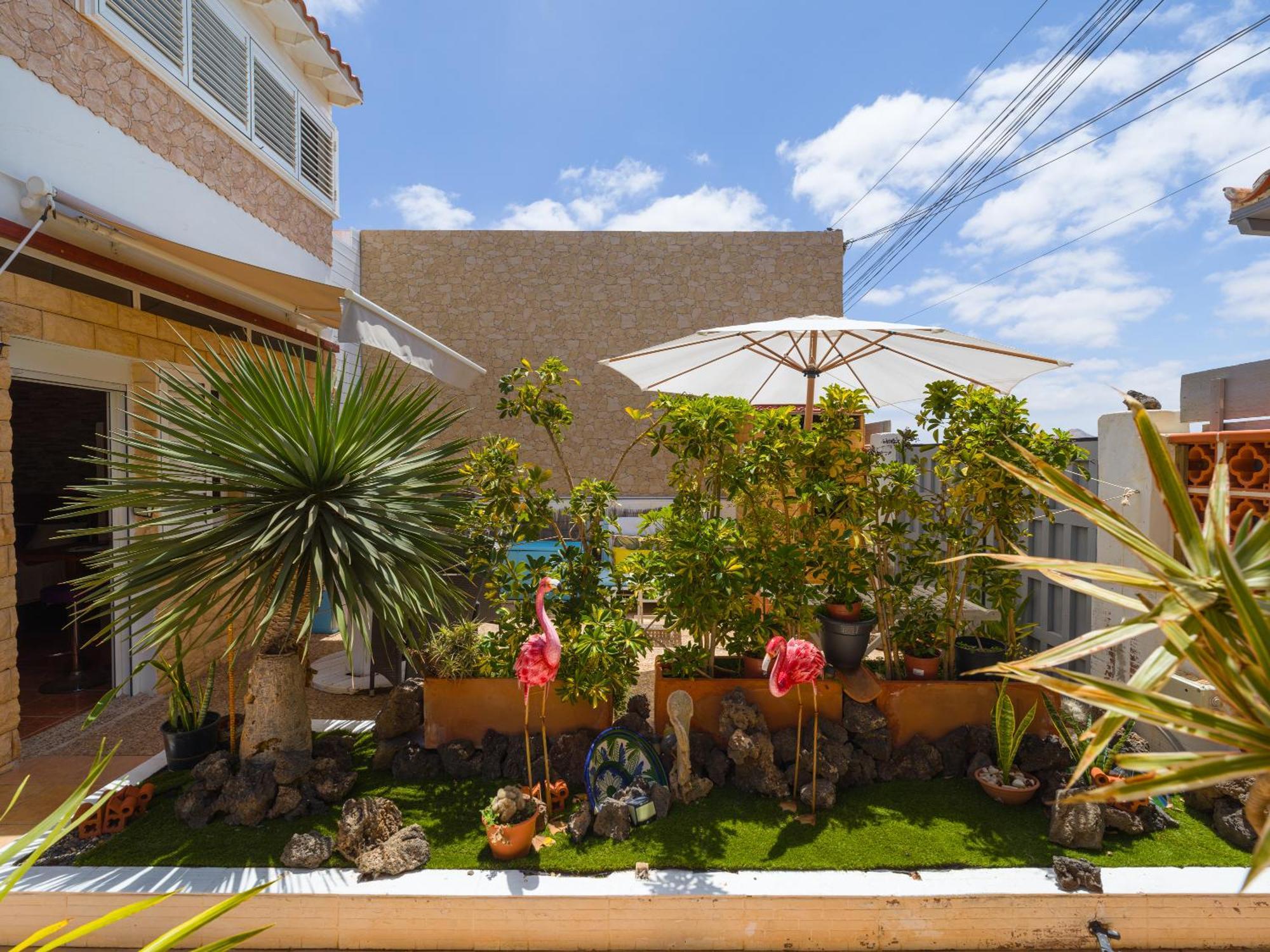 Solo Adultos, Las Tuneras Rooms La Oliva Exterior foto